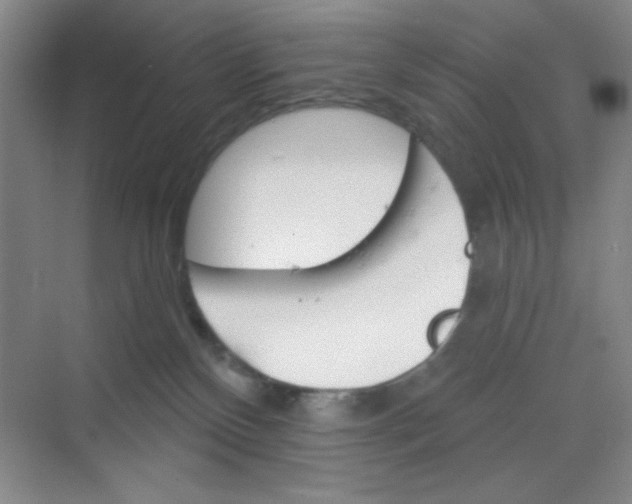 X0000068720136200605121502