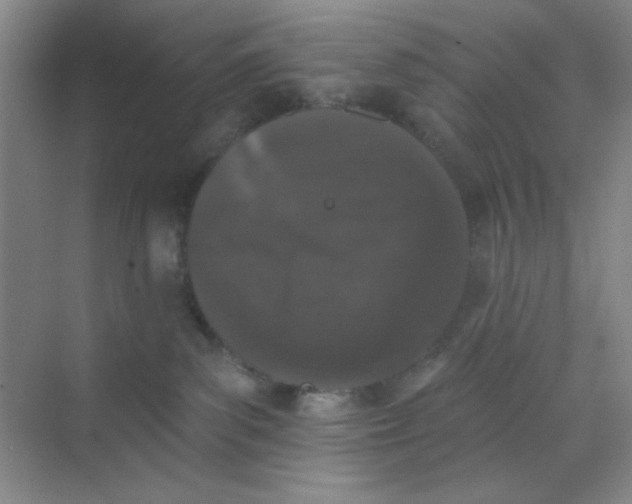 X0000068720139200605121502