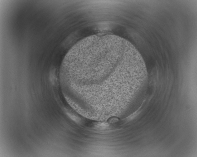 X0000068720140200605121502