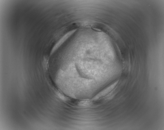 X0000068720142200605121502