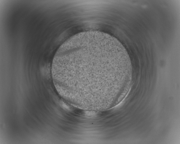 X0000068720144200605121502