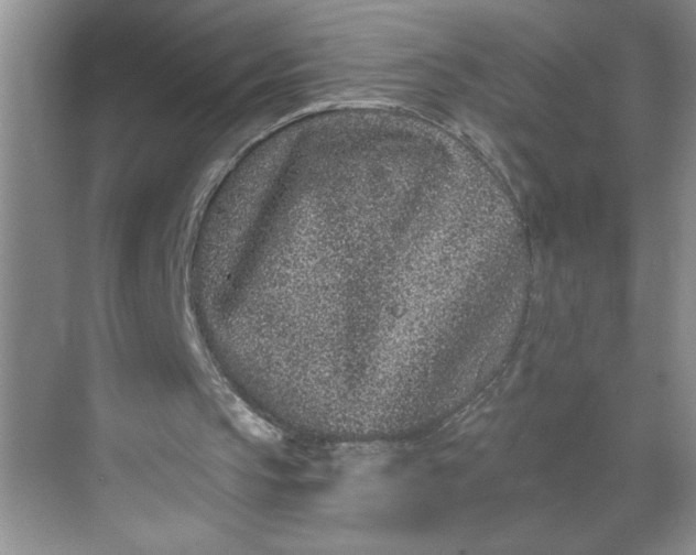 X0000068720145200605121501