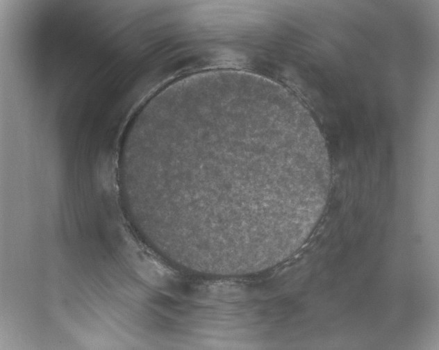 X0000068720146200605121501