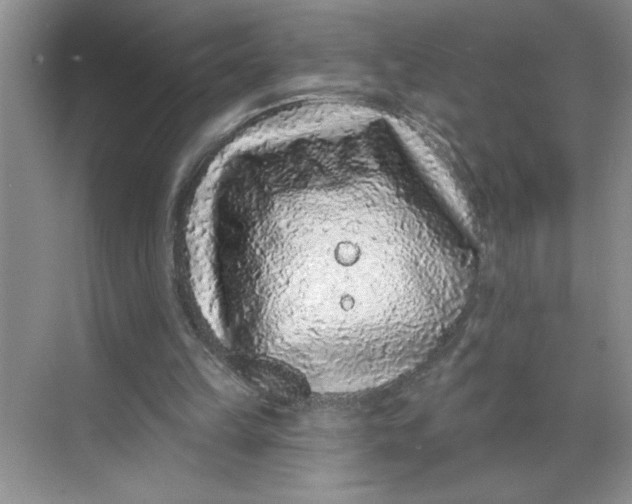 X0000068720149200605121501