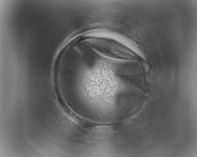 X0000068720150200605121501