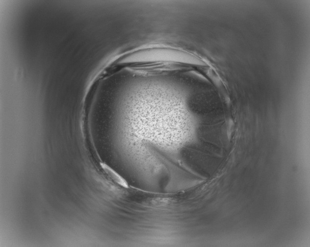 X0000068720152200605121501