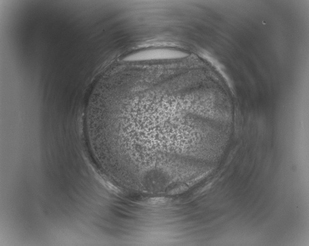 X0000068720153200605121501