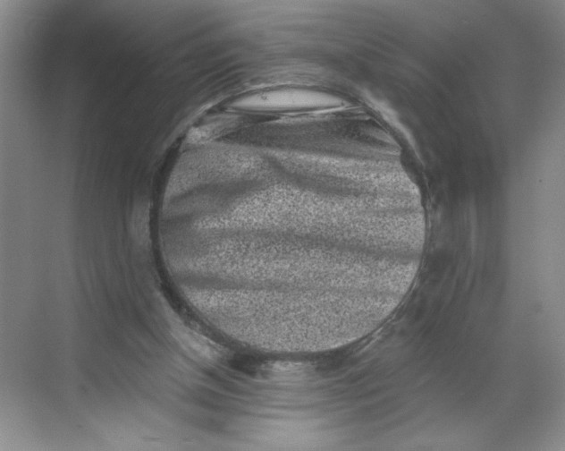 X0000068720154200605121501