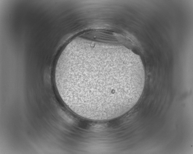 X0000068720155200605121501