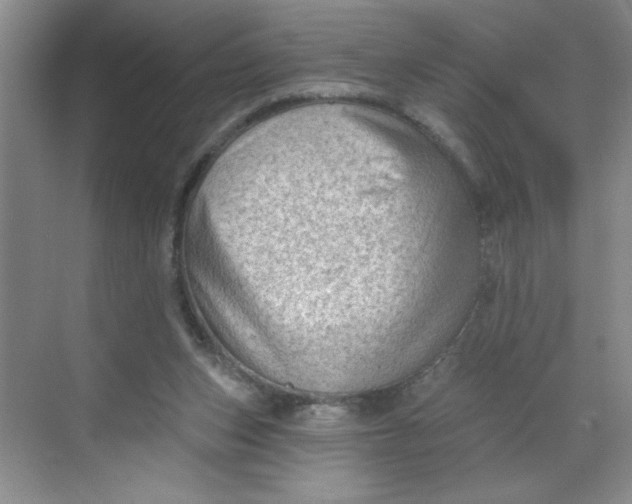 X0000068720159200605121501