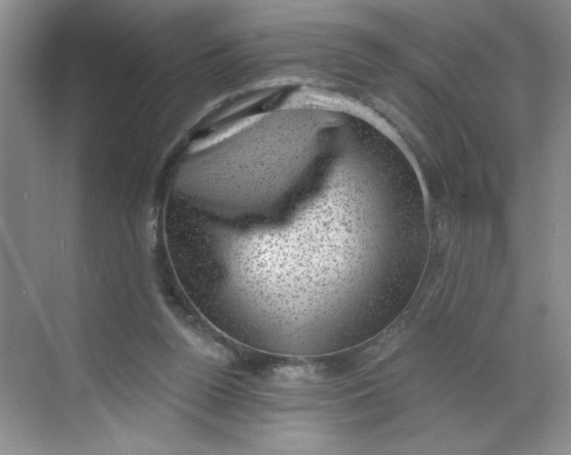 X0000068720160200605121501