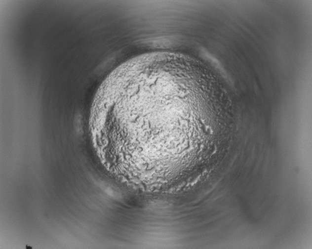 X0000068720161200605121501