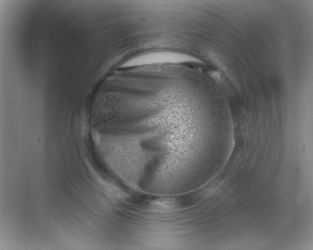 X0000068720164200605121501