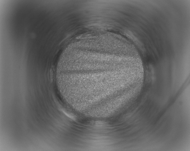 X0000068720165200605121501