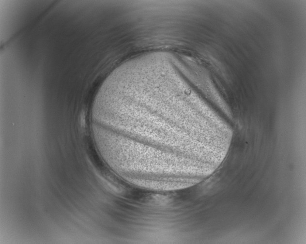 X0000068720166200605121501