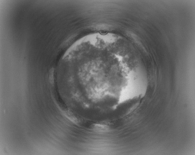 X0000068720167200605121501