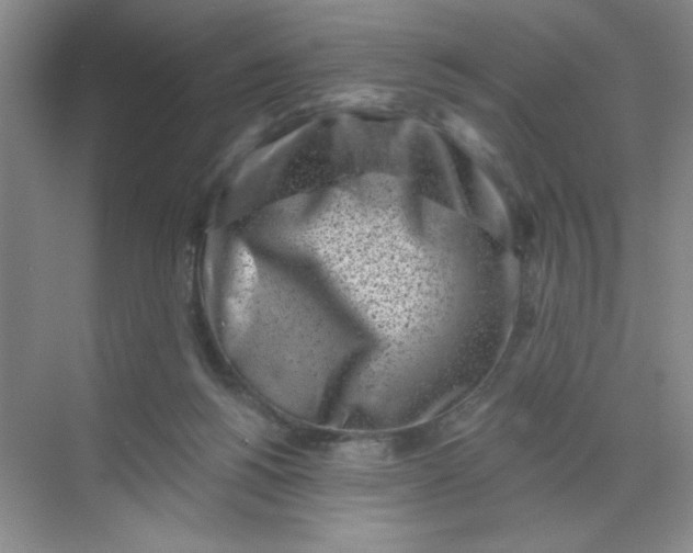 X0000068720168200605121501