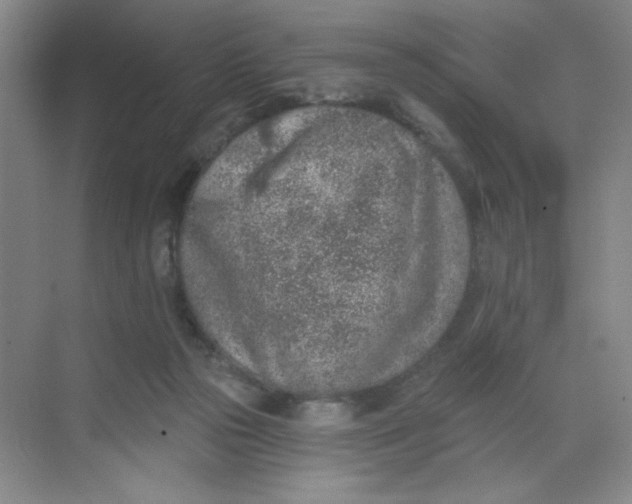 X0000068720169200605121501