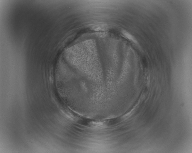 X0000068720170200605121501