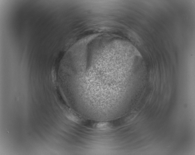 X0000068720173200605121501