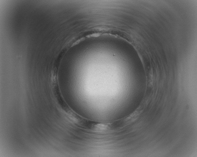 X0000068720176200605121501