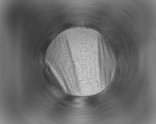 X0000068720178200605121501