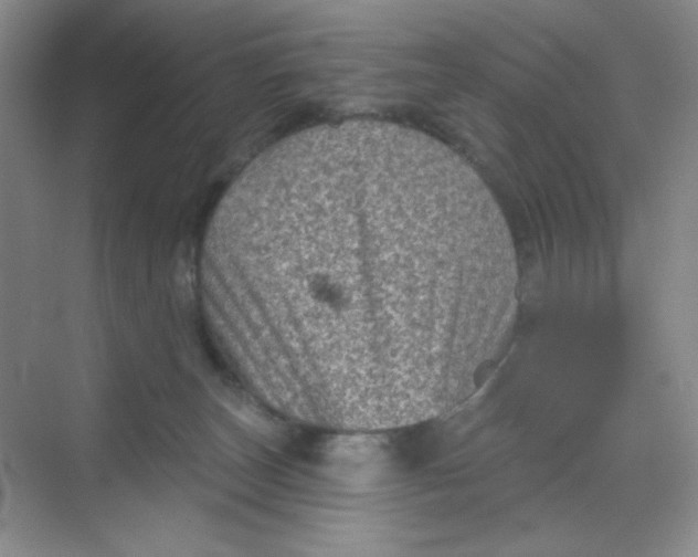 X0000068720179200605121501