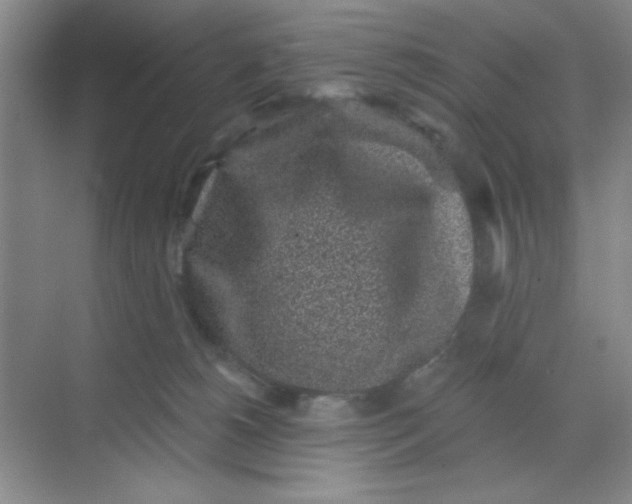 X0000068720180200605121501