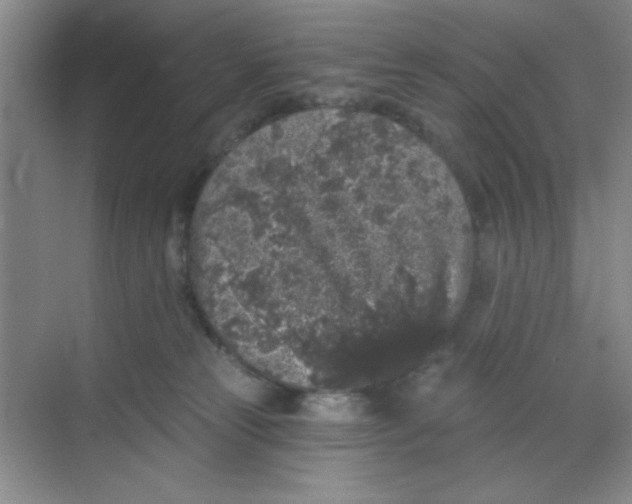 X0000068720181200605121501