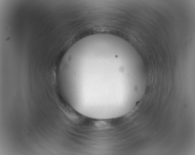 X0000068720183200605121501