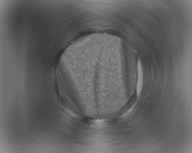 X0000068720184200605121501