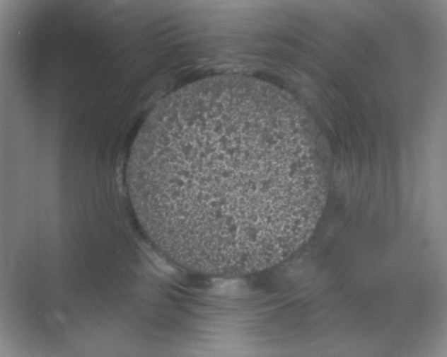 X0000068720185200605121501