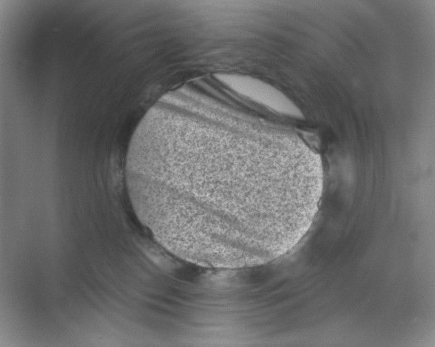 X0000068720186200605121501