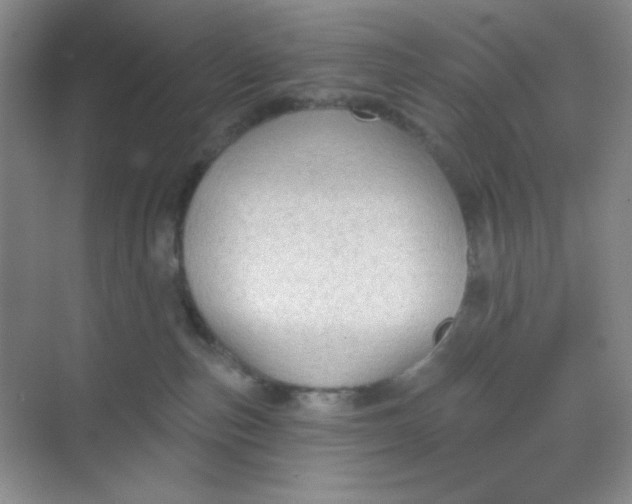 X0000068720187200605121502