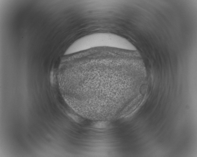 X0000068720191200605121502