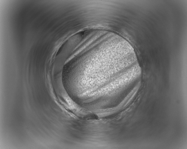 X0000068720193200605121501