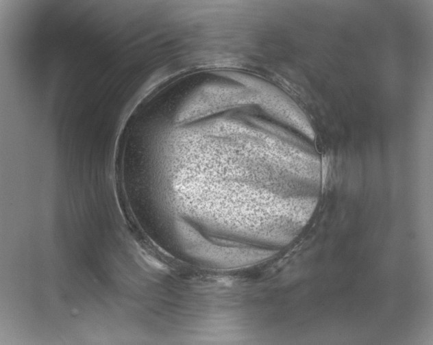 X0000068720195200605121501