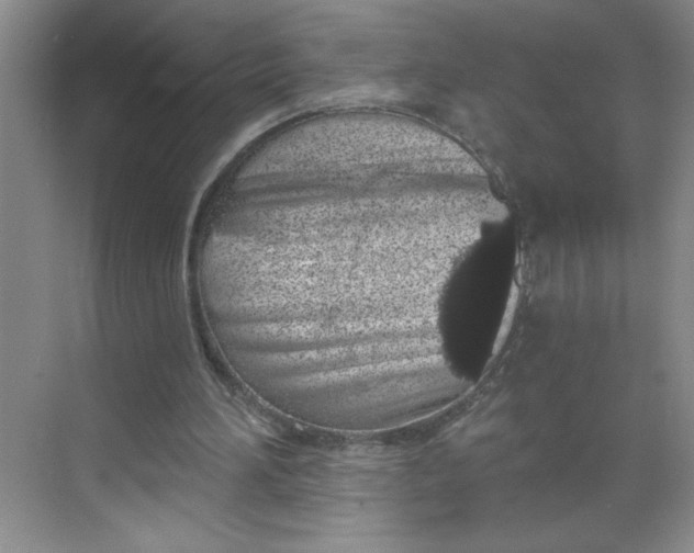 X0000068720196200605121501