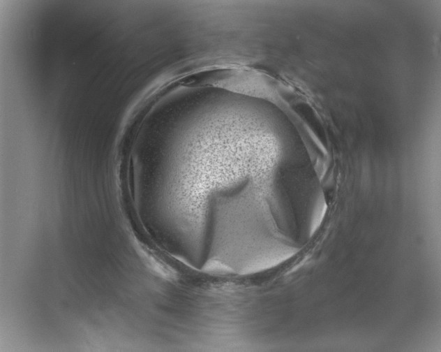 X0000068720197200605121501