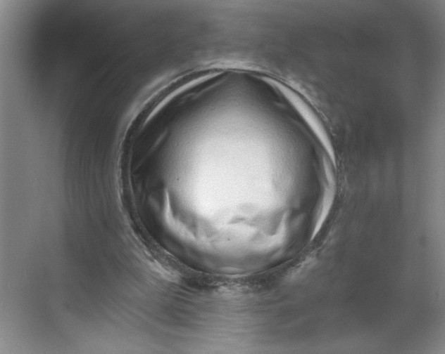 X0000068720199200605121501