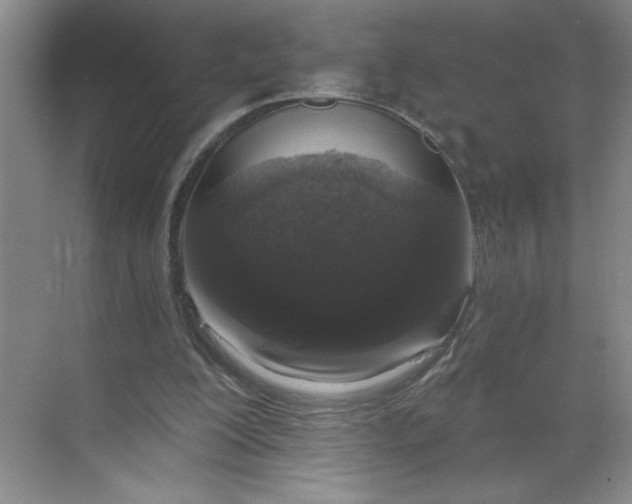 X0000068720200200605121501