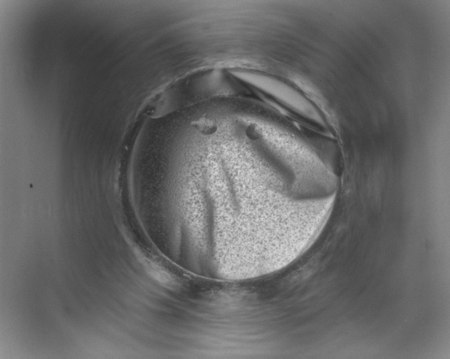 X0000068720201200605121501