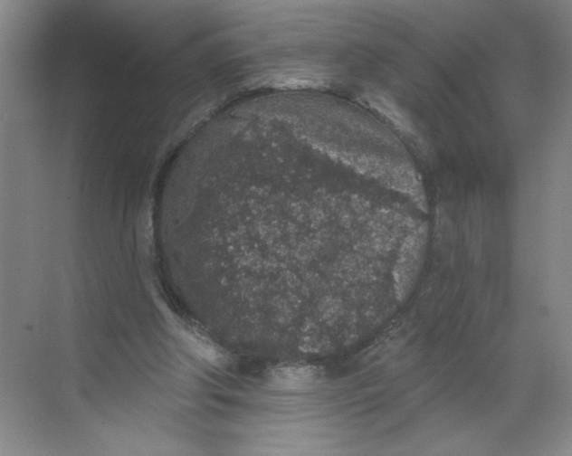 X0000068720202200605121501