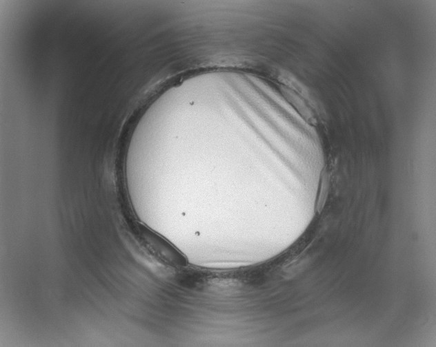 X0000068720203200605121501