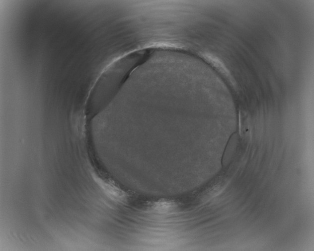 X0000068720204200605121501