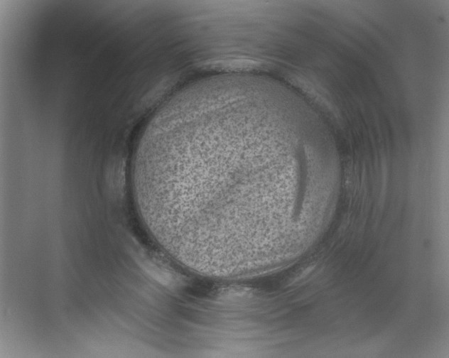 X0000068720206200605121501