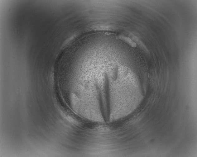 X0000068720207200605121501