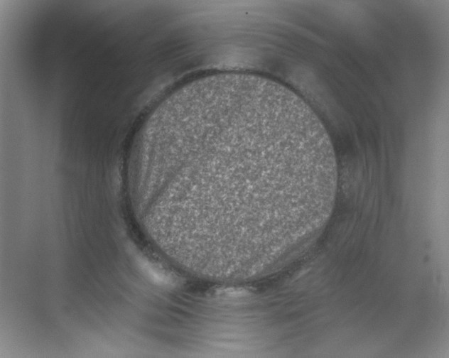 X0000068720208200605121501