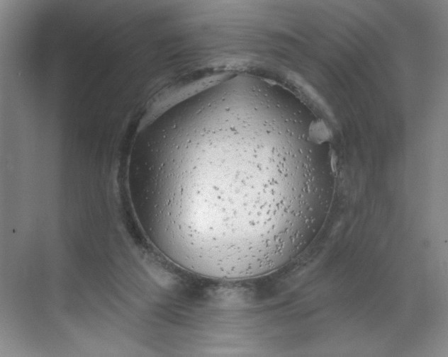 X0000068720209200605121501