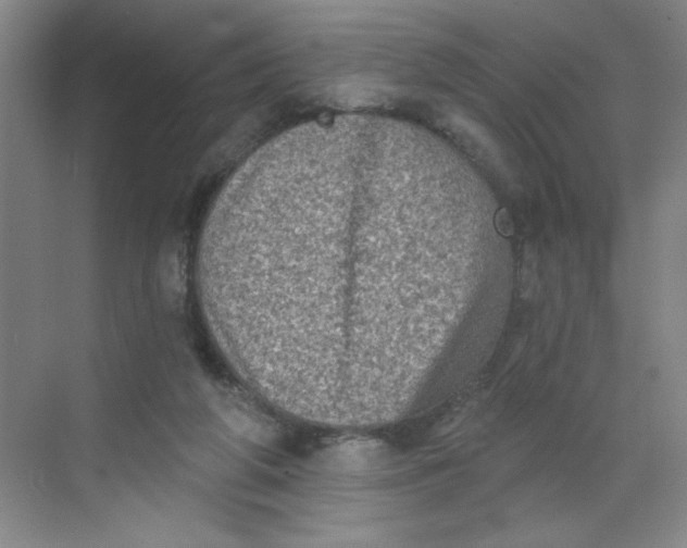 X0000068720210200605121501